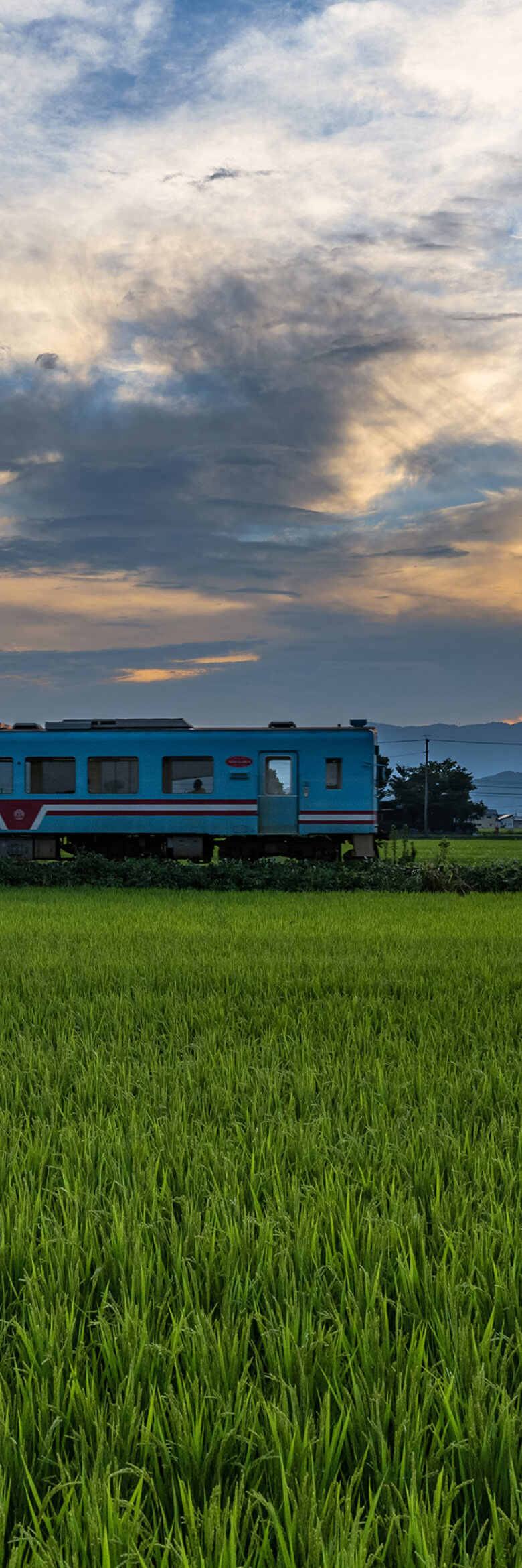 小説列車 イメージ