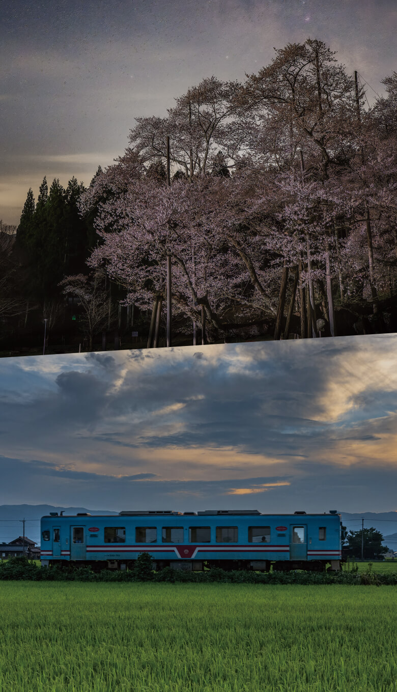 小説列車「桜の約束」 イメージ