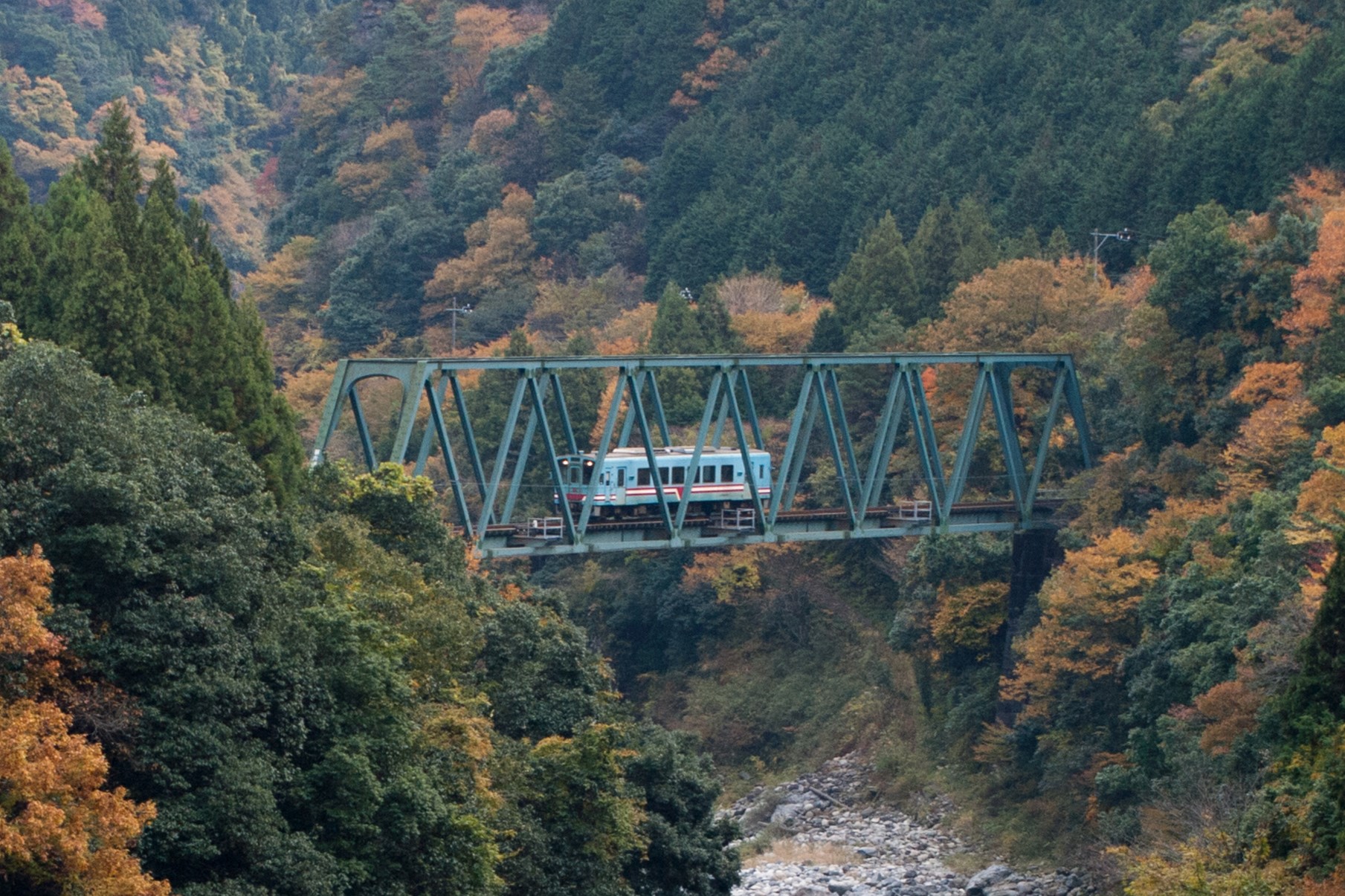 薬草列車（９～１１月）