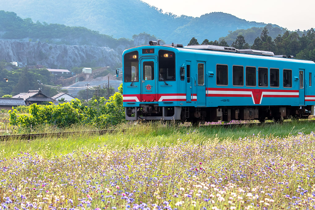 薬草列車(5～7月)