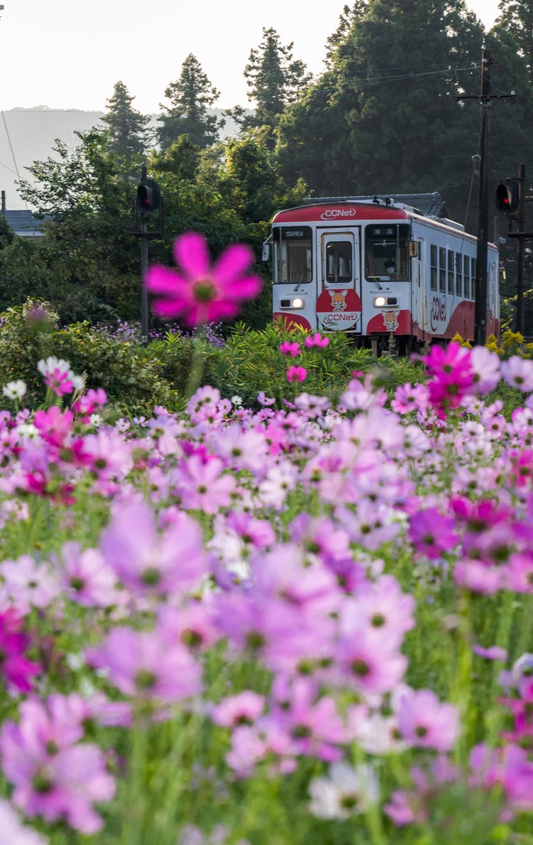 樽見鉄道 イメージ