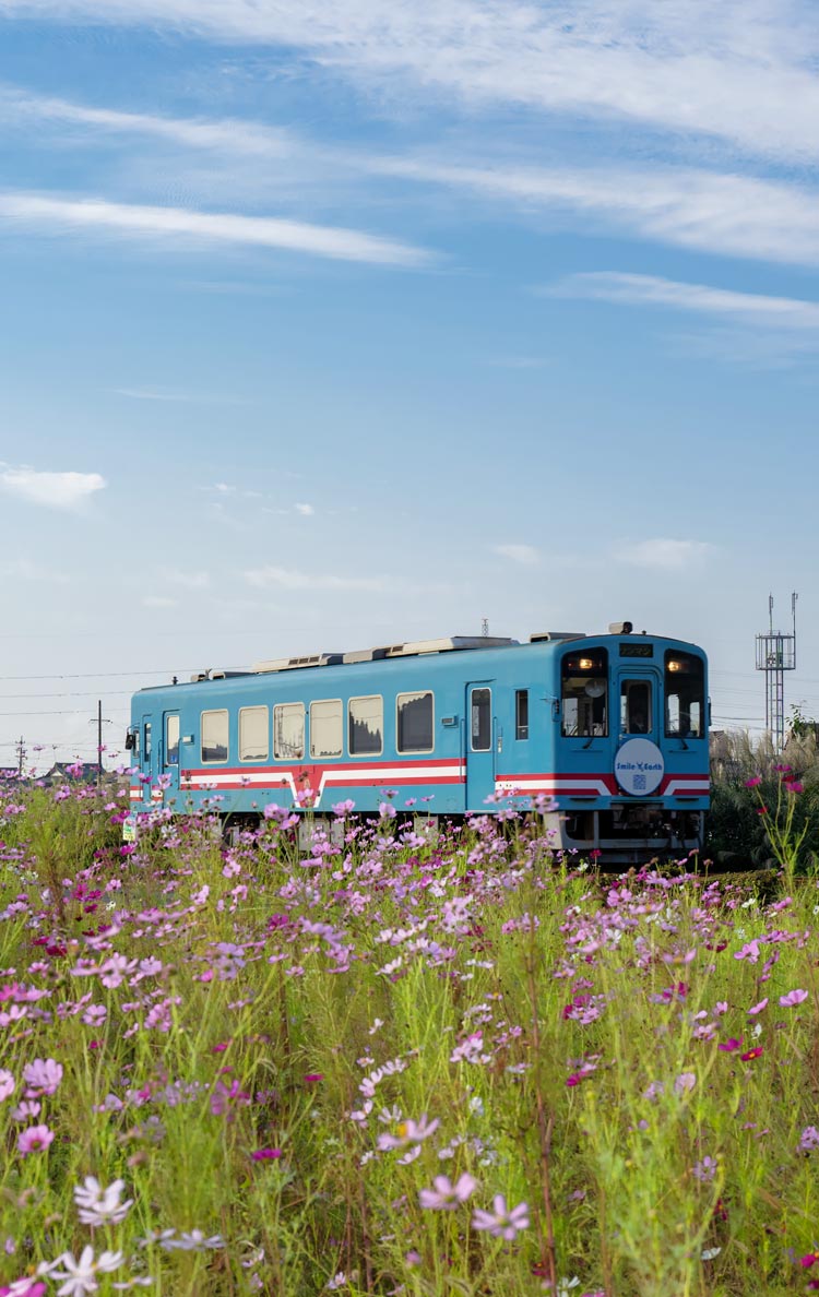 樽見鉄道 イメージ