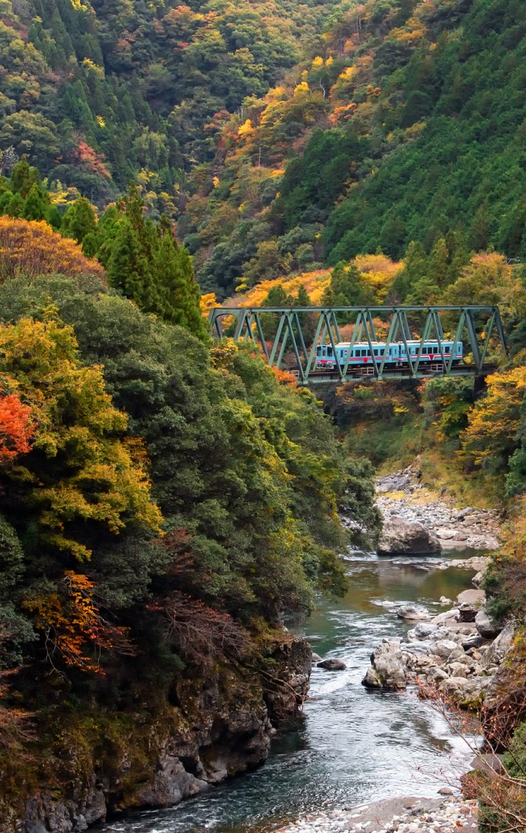 樽見鉄道 イメージ